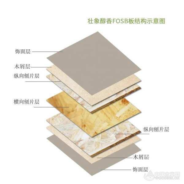 金九银十家装高峰期 选2023生态板十大品牌就对了