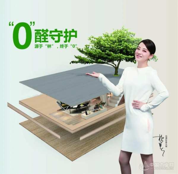 金九银十家装高峰期 选2023生态板十大品牌就对了