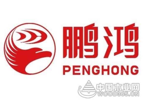 金九银十家装高峰期 选2023生态板十大品牌就对了