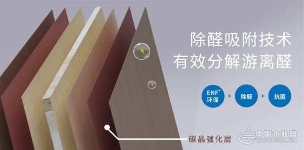 金九银十家装高峰期 选2023生态板十大品牌就对了
