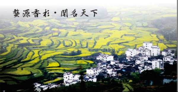 国庆黄金周家装必备：金利源ENF级香杉实木生态板