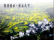 国庆黄金周家装必备：金利源ENF级香杉实木生态板