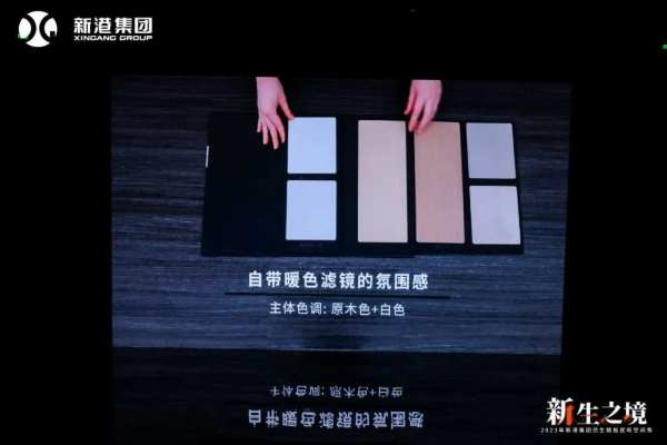 新港仿生精板和全新精板运营模式闪耀登场，视听空间秀彰显家居新风尚！