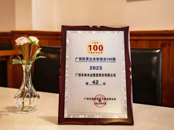 喜报丨连续6年！丰林集团入选2023广西民营企业100强