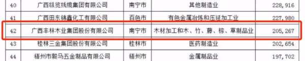 喜报丨连续6年！丰林集团入选2023广西民营企业100强