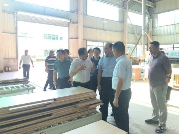 广西自治区林业局领导一行到壮象集团调研发展情况