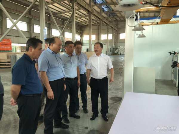广西自治区林业局领导一行到壮象集团调研发展情况