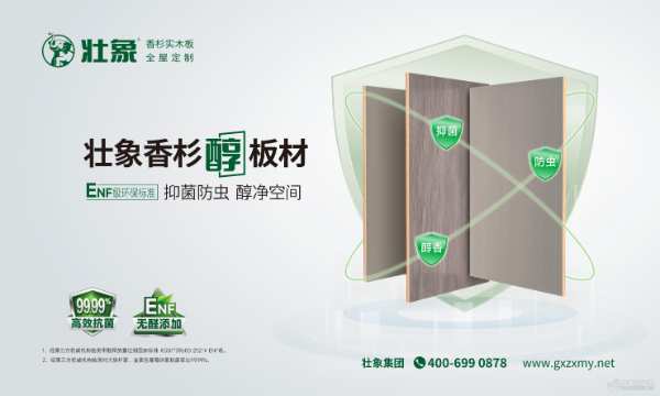 广西自治区林业局领导一行到壮象集团调研发展情况