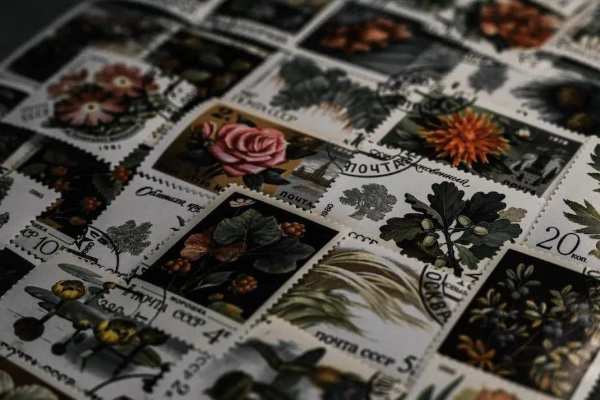 兔宝宝联合杭州邮政共同开展兔宝宝运动主题的邮画征集活动