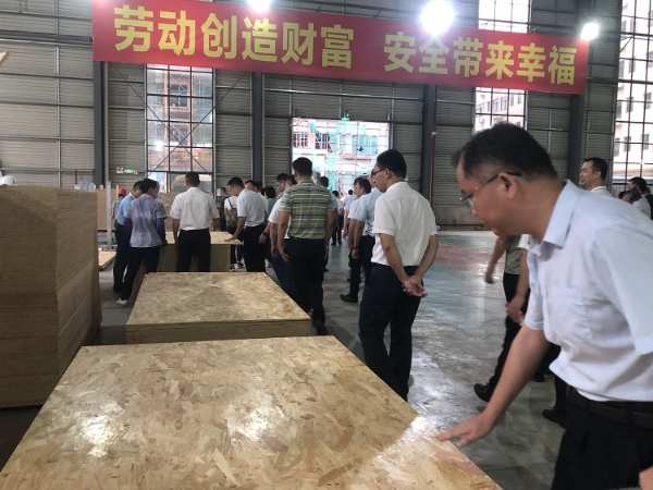 桂平市年中工作会议组走进宝尔康新材观摩调研