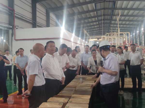 桂平市年中工作会议组走进宝尔康新材观摩调研