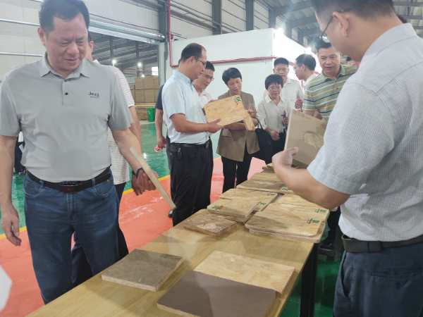 桂平市年中工作会议组走进宝尔康新材观摩调研