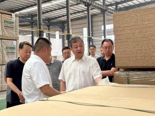 俏家板业 | 德华集团董事长丁鸿敏莅临俏家爱格参观指导