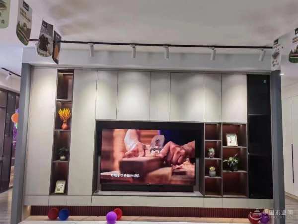 全新家居体验  壮象南宁快环专卖店正式开业