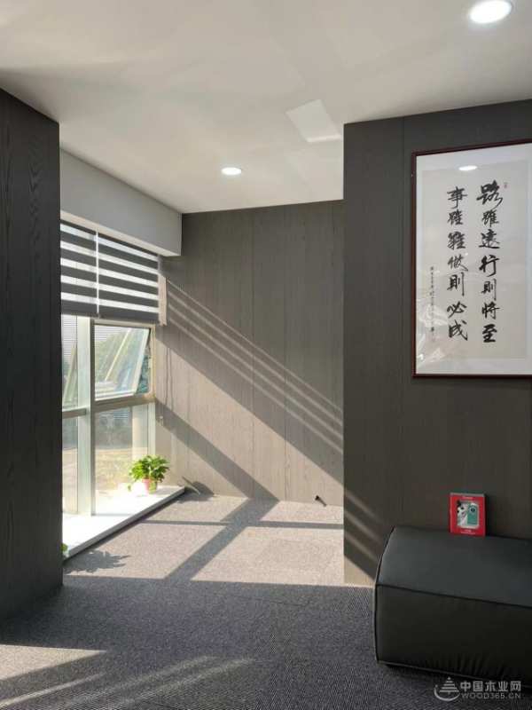 维奢：赋能绿色家居环境 诠释时尚家居美学