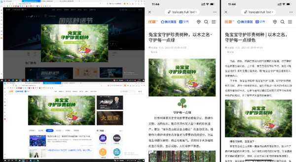 《兔宝宝守护珍贵树种》主题公益活动，践行绿色可持续发展