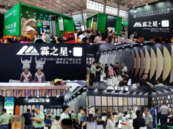 笃行致远 乘势大捷丨霖之星板材贵阳家博会圆满收官！