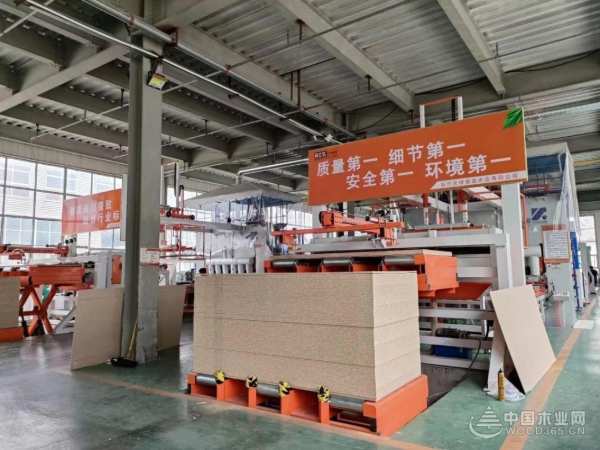 鼎立达板材：多渠道赋能 驶入发展快车道