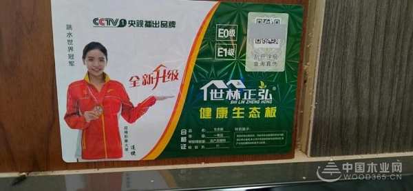 世林正弘板材怎么样？世林正弘板材值得选吗？