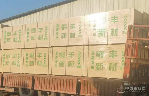 鄂丰：开辟美好蓝图 驶入全新航道
