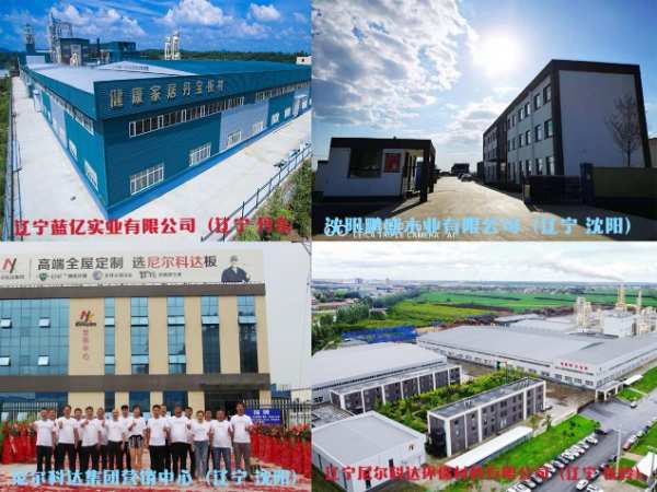 再启新征程——尼尔科达集团 （昌图）家居产业园项目启动