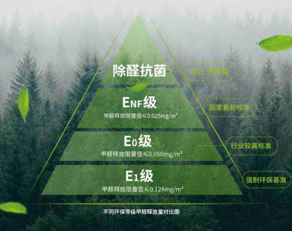 兔宝宝守护珍贵树种 | 以木之名，守护每一点绿色