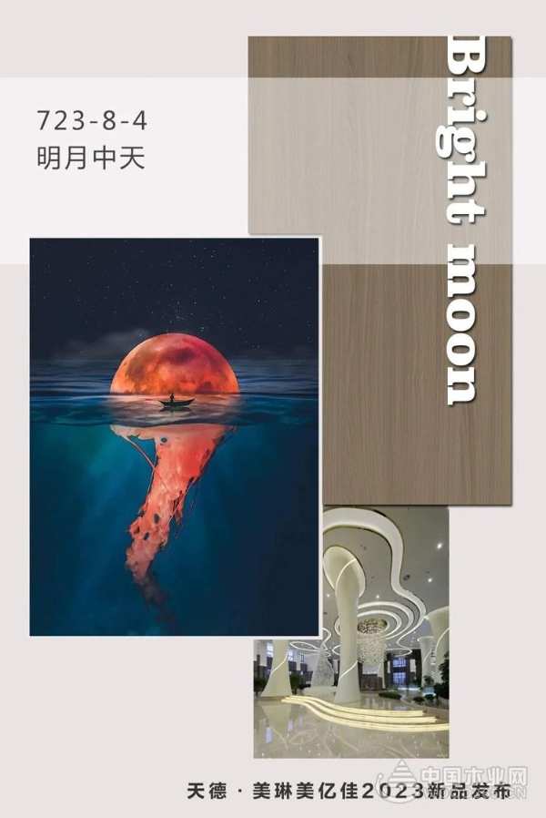 天德美琳：谋定后动 走出高质量发展道路
