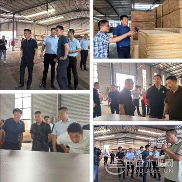 谋而后动 携手并进 团团圆圆板材战略经销商年中研讨会成功召开