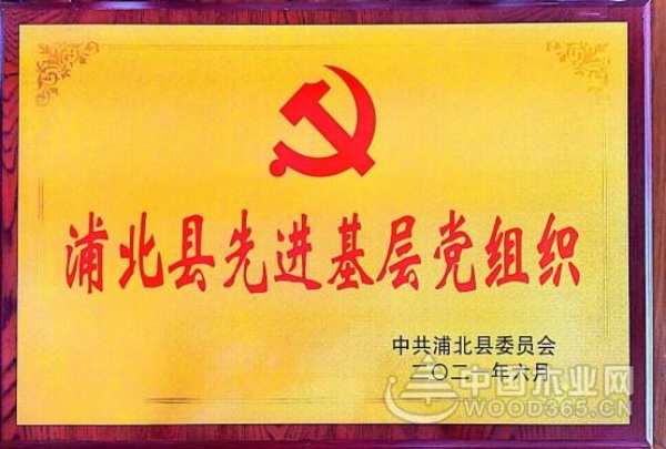党政建设，蓄势赋能！伟新牢记初心使命，凝聚奋进力量！