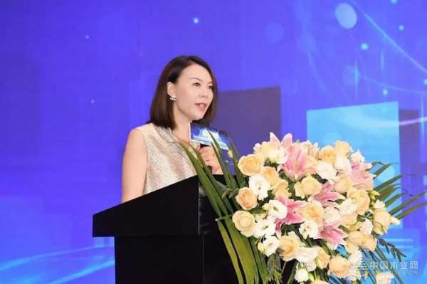 喜报丨雪宝摘获2023年度金匠榜“匠心板材十大品牌”