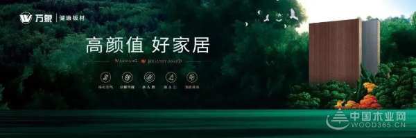 攀高逐新 万象天冠揽获“家具板十大品牌”荣誉
