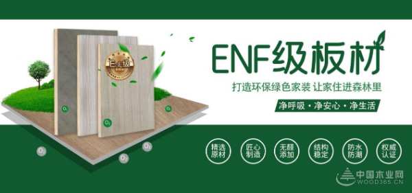 实力见证 隆饰板材荣登金匠榜“家具板十大品牌”榜单