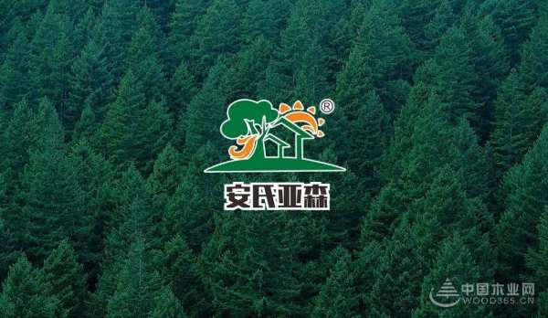 实至名归 安氏亚森斩获金匠榜“家具板十大品牌”