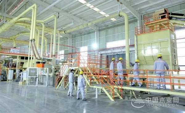 众望所归 巴中建丰拿下金匠榜“刨花板十大品牌”奖项