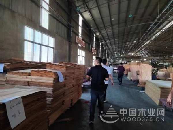 紧绷安全之弦 广西伟新木业投资集团召开月度安全生产暨质量管理会议