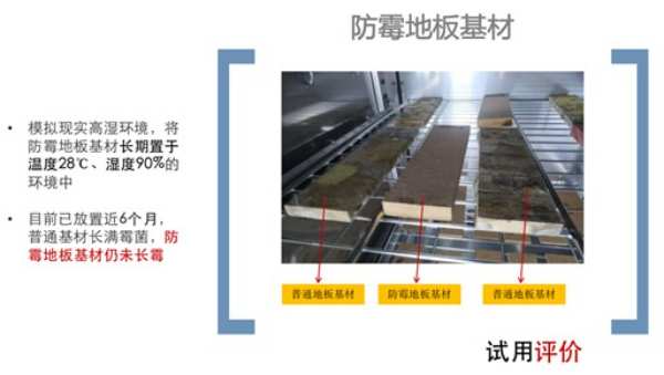 梅雨季，家具发霉怎么办？大亚防潮、防霉板为你排忧解难
