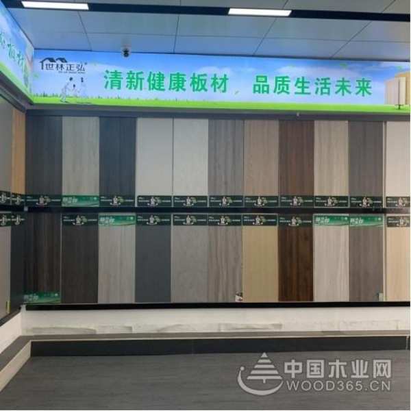 抢抓机遇向新而行 世林正弘加快高质量发展步伐