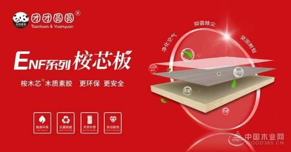 凝聚青春力量，奔赴全新征程！团团圆圆荣获“青年文明号”称号！