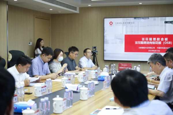 北新木业面层阻燃OSB和面层阻燃胶合板两项新产品分别被评定为“国际领先”和“国际先进”