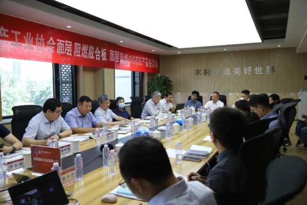 北新木业面层阻燃OSB和面层阻燃胶合板两项新产品分别被评定为“国际领先”和“国际先进”