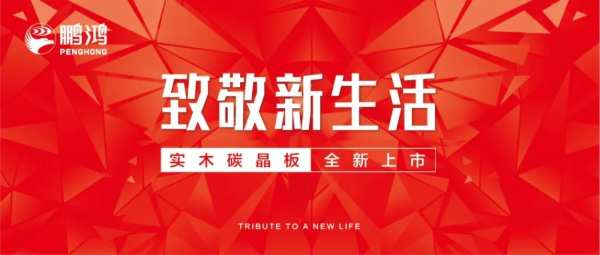 好看的外表+有趣的灵魂——鹏鸿实木碳晶板全新上市