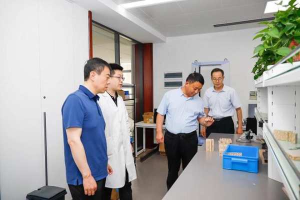 平邑县委副书记任大鹏、县木业专班领导一行莅临大王椰参访调研