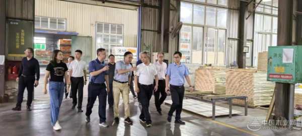 国家林草局领导一行前往壮象集团调研
