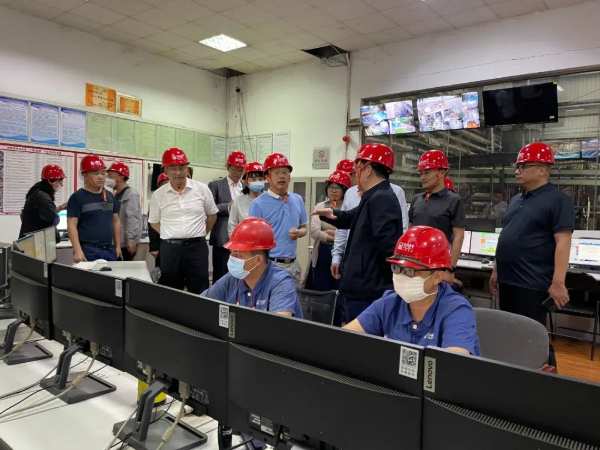 国家林业生物质资源化利用专题调研组莅临大亚茂名工厂现场考察