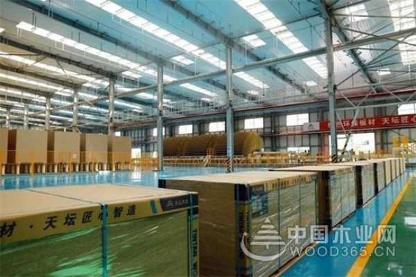 奋楫潮头逐浪高 金隅天坛木业凝心聚力谋新篇