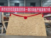 佳诺威子公司熙泰科技一期定向结构刨花板OSB项目首板成功下线