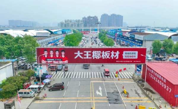 引爆品牌传播丨大王椰国羽形象火遍大武汉主流建材商圈