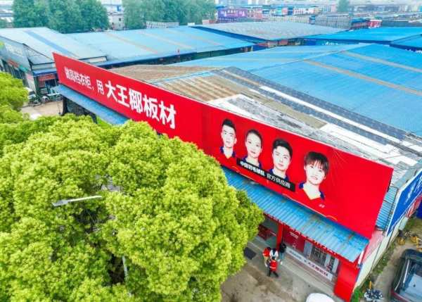 引爆品牌传播丨大王椰国羽形象火遍大武汉主流建材商圈