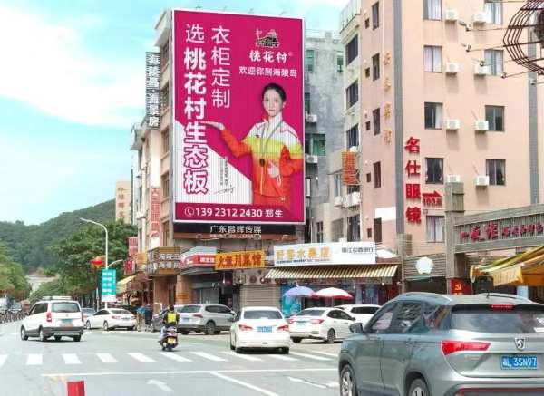 桃花村生态板广东粤西阳江户外广告惊艳上线