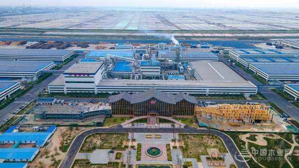 乘风破浪，奋楫扬帆|鲁丽精板重庆市场战略联盟授权启动会圆满成功！